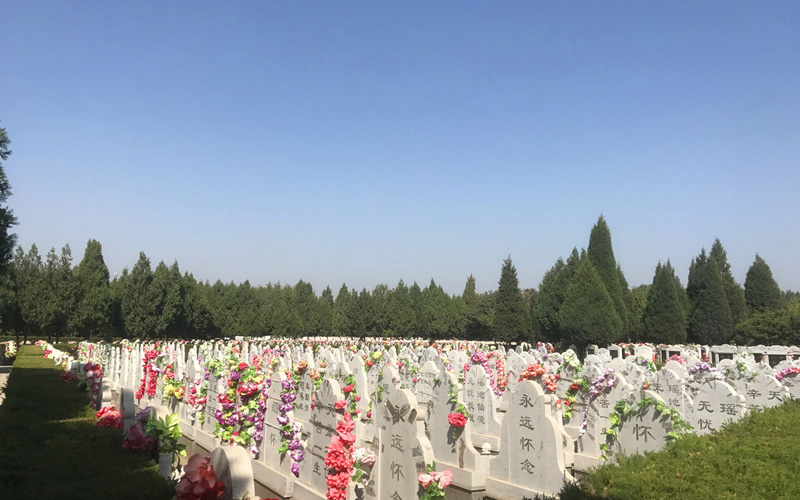 天堂公墓已经暂无传统立碑销售
