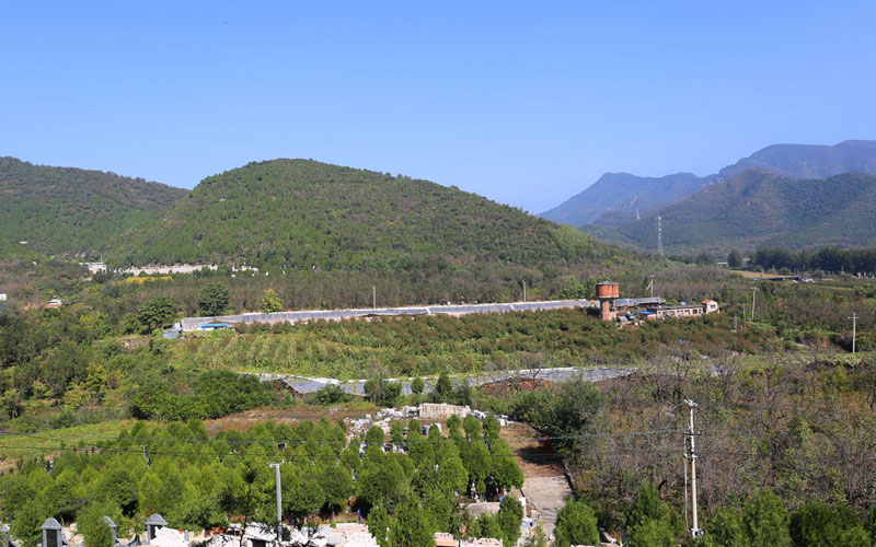 归山陵园环境实拍