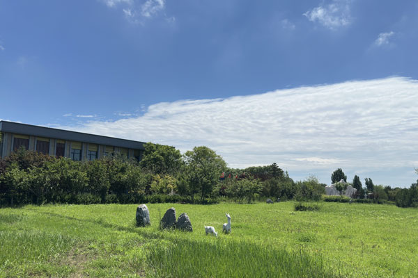 选墓顾问贾荣华实话实话，北京大兴区家属选墓地，别忽略南边这个高性价比公墓