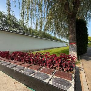 颐景园双穴花坛葬