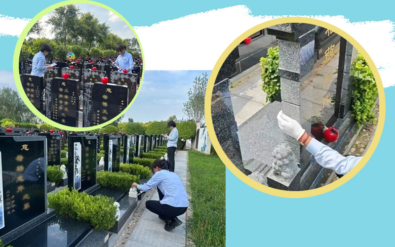 清颐园员工全域排除墓区