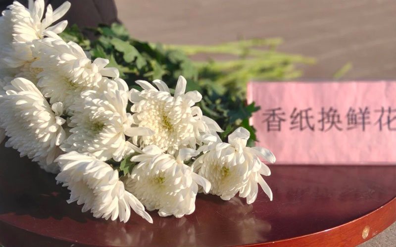 天寿陵园继续推出纸钱换鲜花活动 天寿陵园继续推出纸钱换鲜花活动