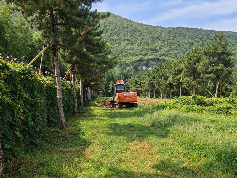 灵山宝塔陵园正在建设新墓区