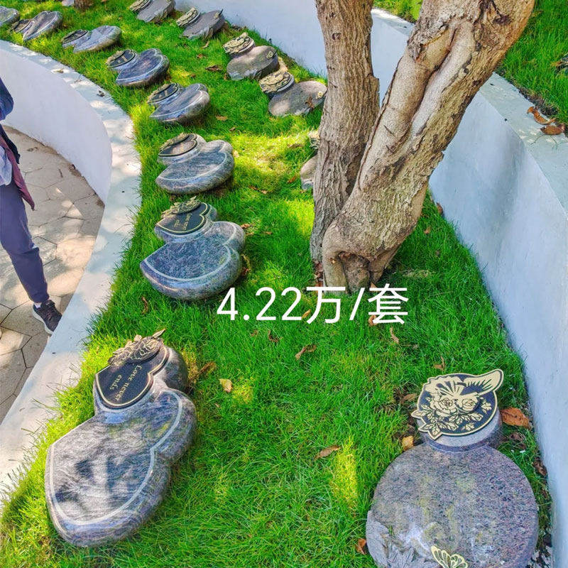 就在大树下的草坪上-安静、自然