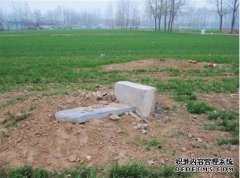 河南平坟运动：征地还是殡葬改革？