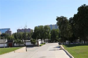 陵园景观