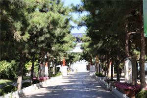 陵园景观
