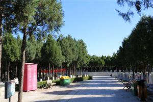 陵园景观