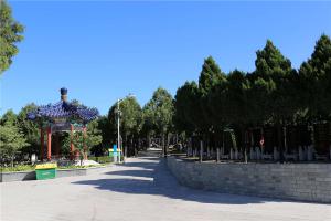 陵园景观