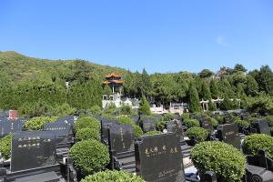 园区景观