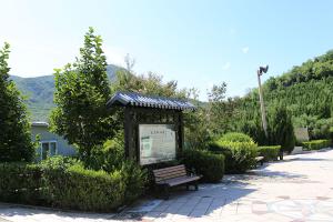 园区景观