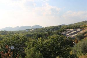 墓园景观