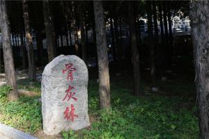 墓园景观