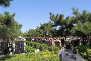 陵园景观
