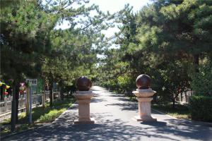 陵园景观