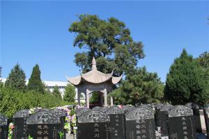 陵园景观