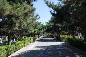 陵园景观