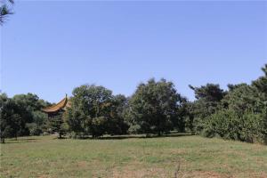 陵园景观