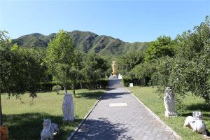 陵园主路