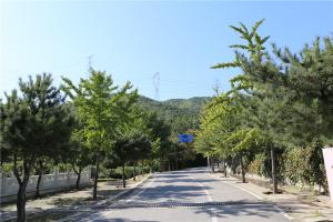 园区景观