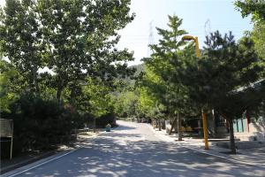园区景观