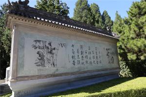 园区文化墙