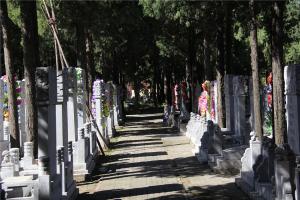 墓区景观
