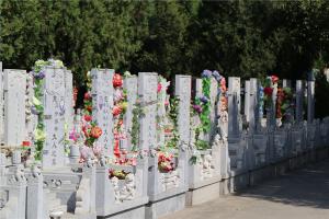 墓区景观