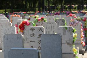 墓区景观