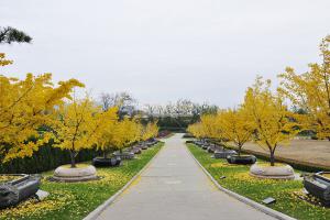天寿陵园景观