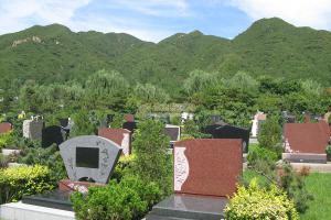 天寿陵园树葬景观