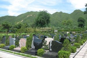 天寿陵园树葬景观