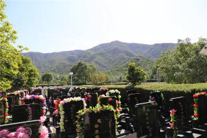墓区景观