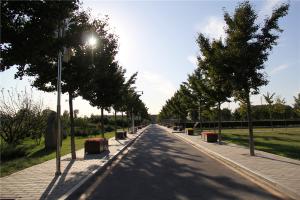 园区景观