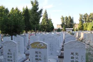 墓区景观