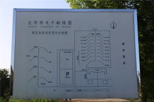 陵园导向图