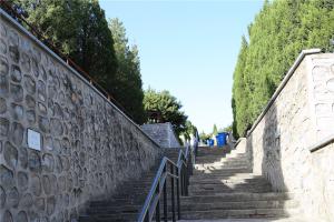 园区景观