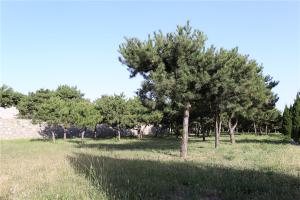 园区景观