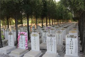 墓区景观