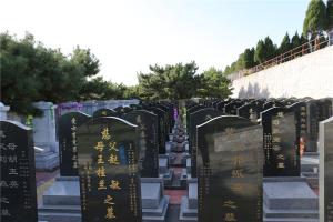 墓区景观