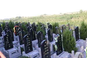 墓区景观
