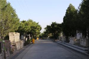 墓区景观