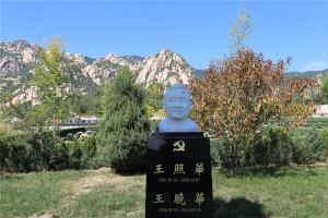 墓区景观