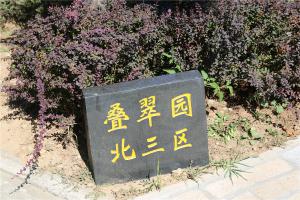 墓区景观