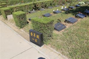墓区景观