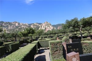 墓区景观