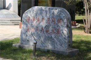 园区景观