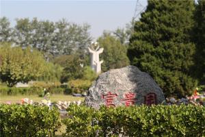 墓区景观