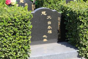 墓区景观