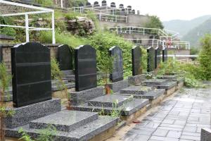靠山园墓区